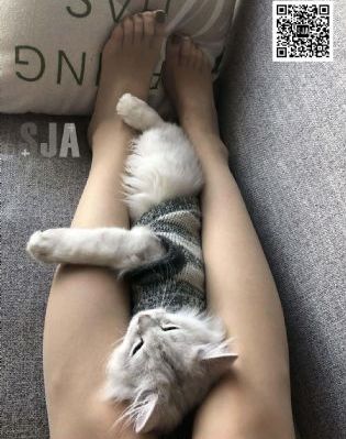 我不卡影院在线_日韩在线观看